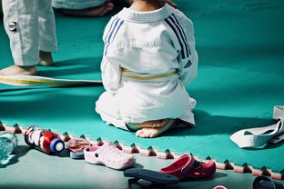 开云体育全站-全国青少年武术套路锦标赛精彩绝伦，全国青少年武术套路锦标赛精彩绝伦视频