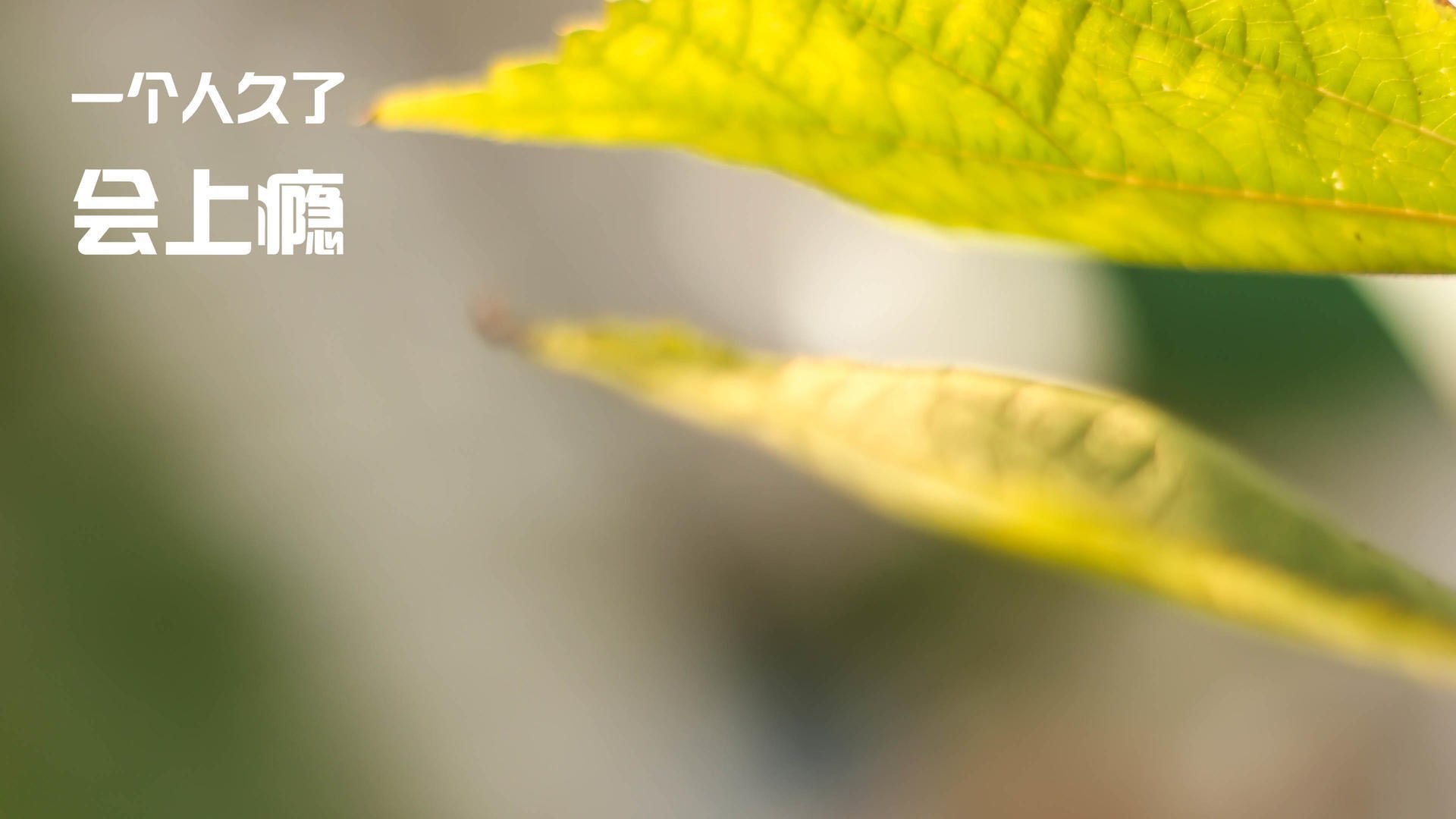 中超联赛国足爆冷 球迷情绪波动较大，足协公布中超