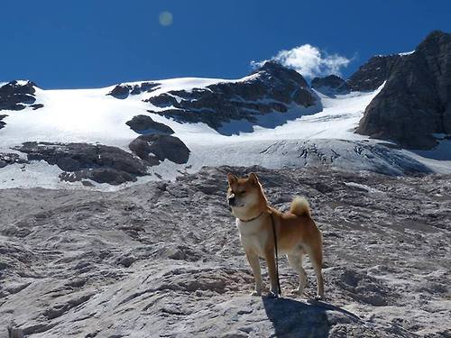 开云体育官方-女子铁人三项赛南京站挑战极限耐力，铁人三项女子个人决赛