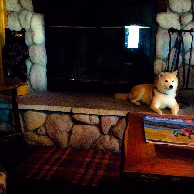 球星轮休对全队节奏的影响分析，nba球员轮休会扣钱吗