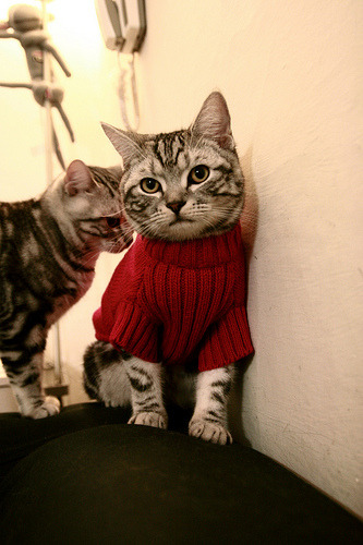 观众沉浸式观赛体验走进现实，沉浸式参观