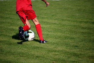 KAIYUN 中国大陆-CBA球队加强后勤保障体系优化训练和比赛准备，cba后备联赛