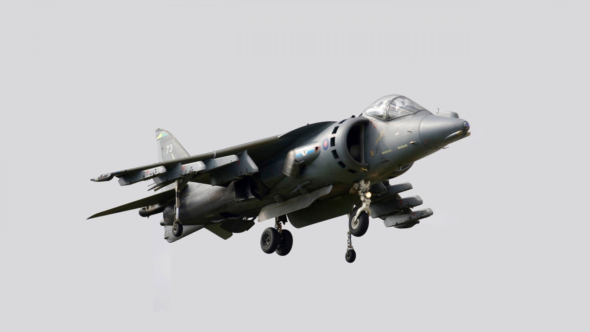 拜仁官宣签下英格兰中场新星,拜仁英格兰小将