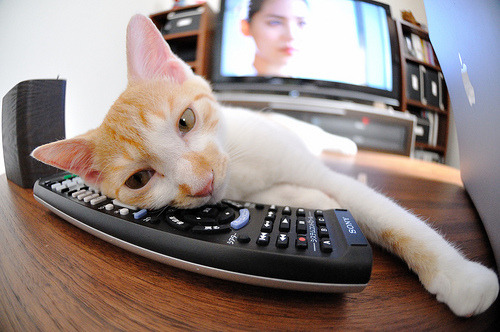 斯洛伐克男篮在欧洲大赛中追梦不停，迈向更远的目标，斯洛伐克篮球国家队