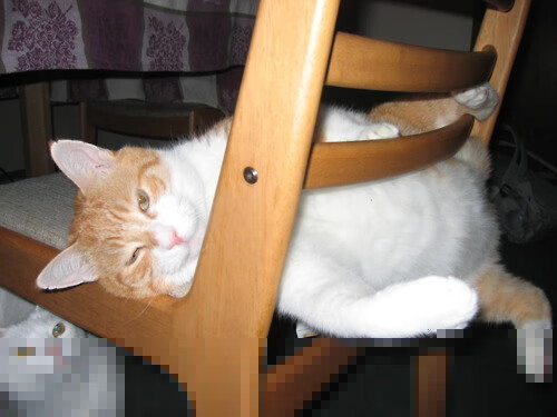 梅西在阿根廷国家队再度发光，引领球队冲击世界杯