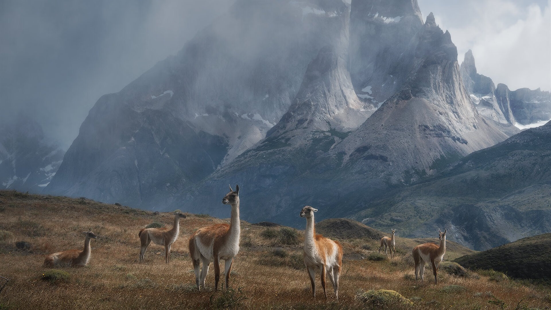 混合泳比赛中立代表队A表现均衡，混合泳联合队